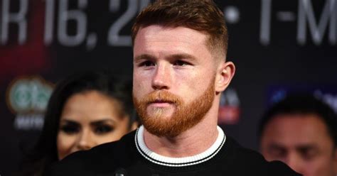 canelo alvarez louis vuitton|Louis Vuitton everlast sponsors.